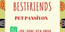Can Dostlarınıza İş Nedeniyle Ayıramadığınız Vakti Sevgiyle Ayıran Dost Canlısı Bir Pansiyon..